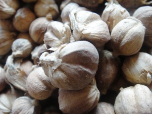 Indonesia Cardamom